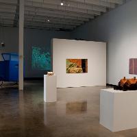 An empty art gallery 