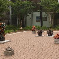 A brick pavilion with several plants in planters 