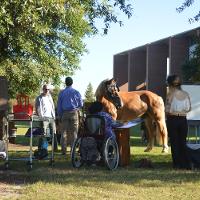 A group of students outside surrounding a horse 