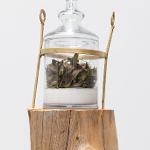 Butch Anthony Bone Art Exhibit at The Bo Bartlett Center