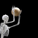 Butch Anthony Bone Art Exhibit at The Bo Bartlett Center