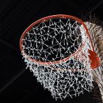 Butch Anthony Bone Art Exhibit at The Bo Bartlett Center