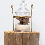 Butch Anthony Bone Art Exhibit at The Bo Bartlett Center