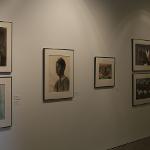 American art from the 20th Century by most of the noted and recognized artists (Warhol, Rosenquist, Johns, Blackburn, Barnet, Gilliam, Picasso and many others)