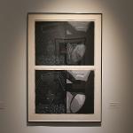 American art from the 20th Century by most of the noted and recognized artists (Warhol, Rosenquist, Johns, Blackburn, Barnet, Gilliam, Picasso and many others)