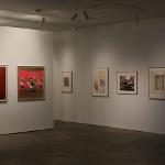 American art from the 20th Century by most of the noted and recognized artists (Warhol, Rosenquist, Johns, Blackburn, Barnet, Gilliam, Picasso and many others)