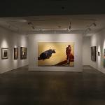 Artwork hanging on gallery walls