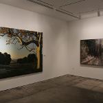 Artwork hanging on gallery walls