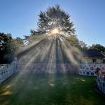 Morning sun rays streaming through a tree over Pasaquan's decorated walls