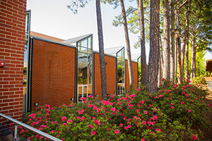 Photo of the Corn Center