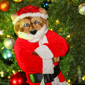 Cody in a Santa suit in front of a decorated Christmas tree