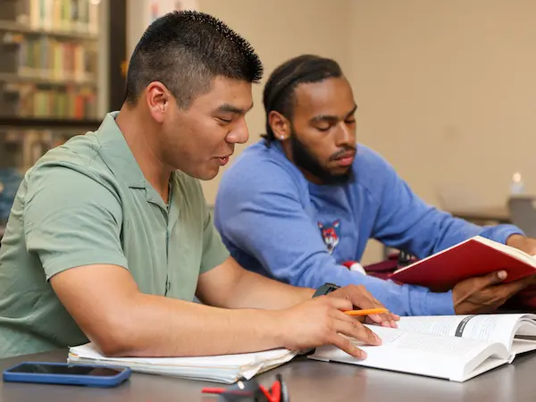 two science students studying