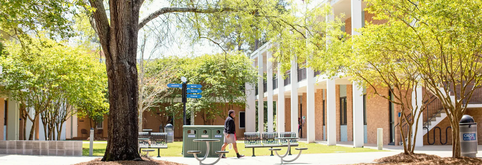 a view of trees and buildings on main campus