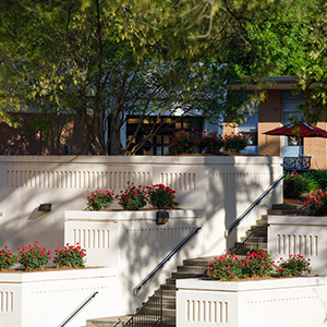 a staircase with several plants and trees surrounding it