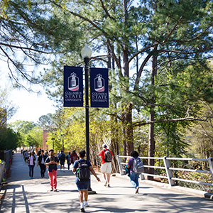 a bridge with several students crossing it