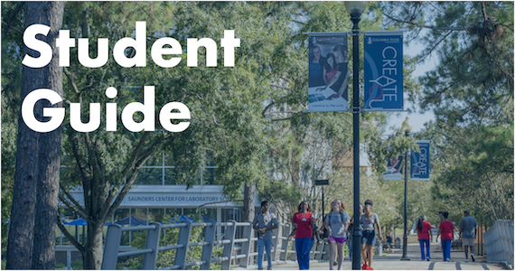 Student Proctored Exam Instructions